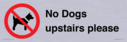 no-dogs-upstairs-please-~
